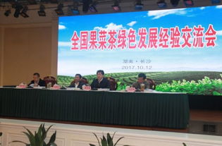 金井鎮(zhèn)湘豐茶業(yè) 以茶為媒，推動(dòng)綠色發(fā)展新篇章